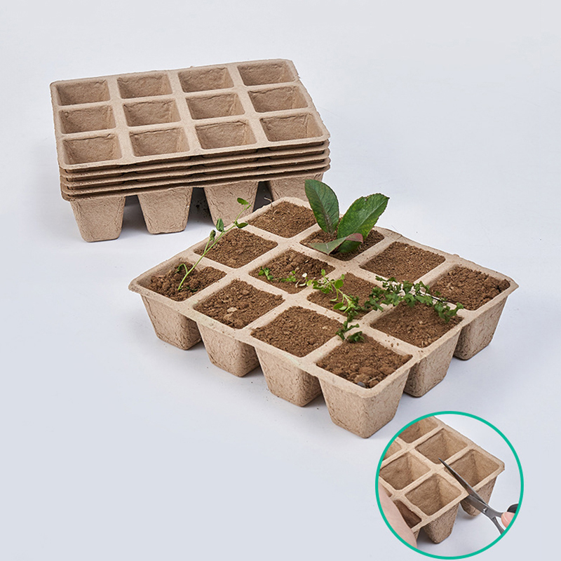 Seed Starter Tray - 5 buah baki pembibitan tanaman 12