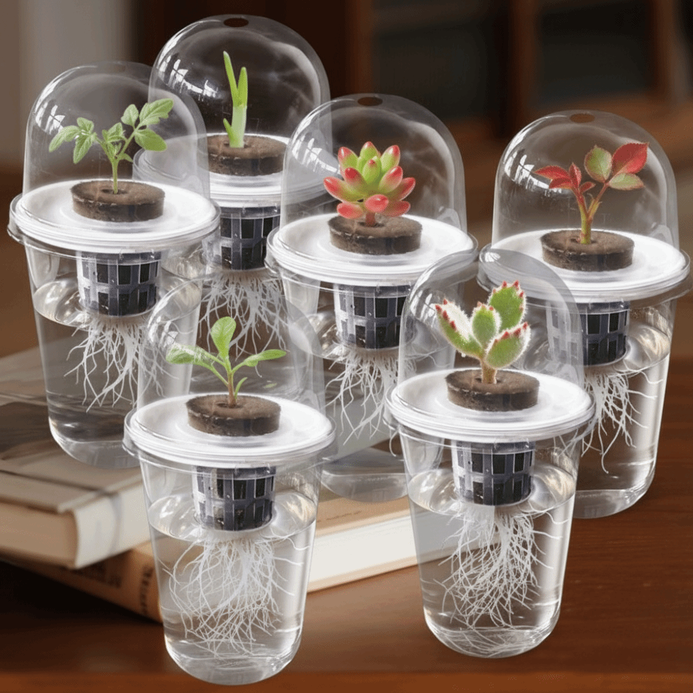 Seed Starter Tray - 1-5pc Wadah Perkecambahan Tanaman Transparan, Pot
