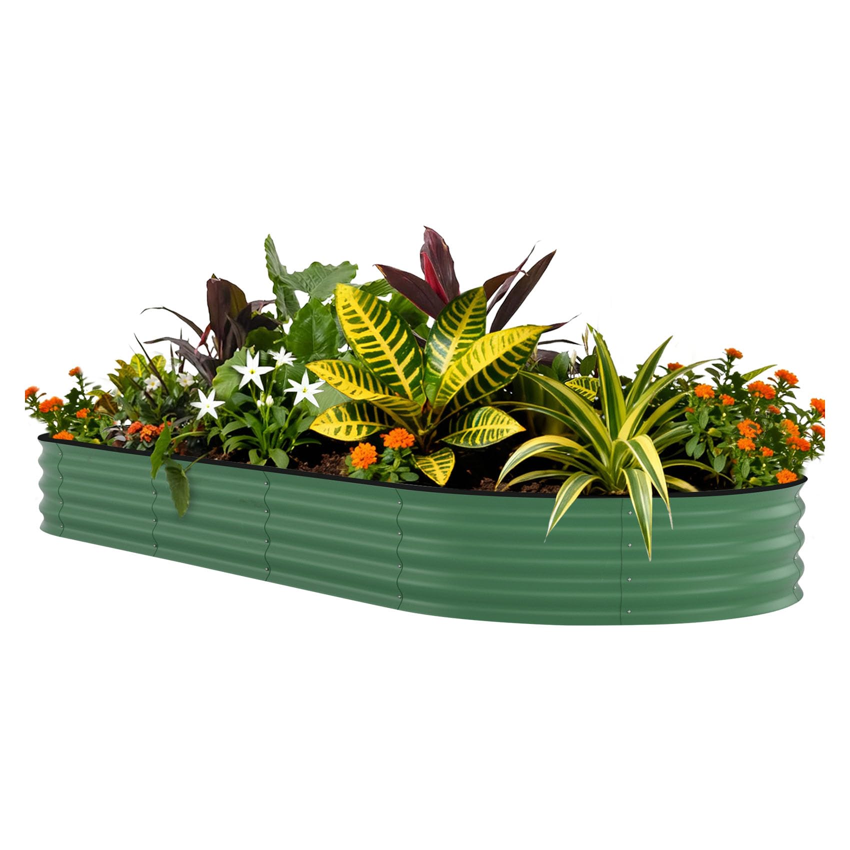 Raised Garden Bed - Kotak Tanam Terangkat Galvanis 8x4x1.5 kaki