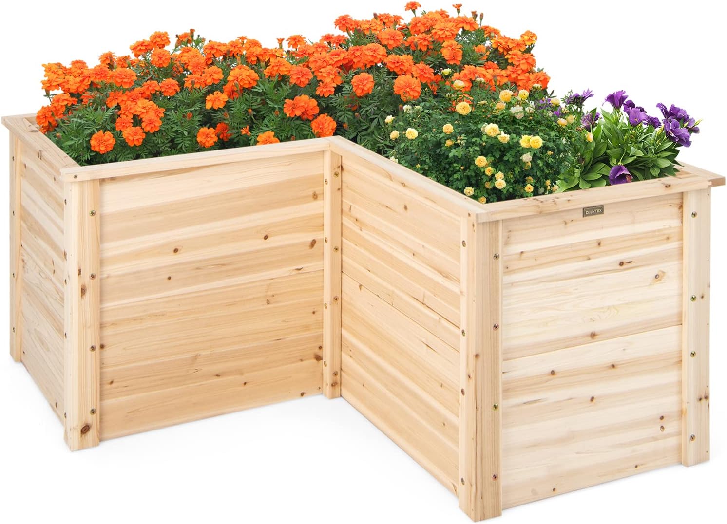 Raised Garden Bed - Tempat Tanam Kayu Solid untuk Teras