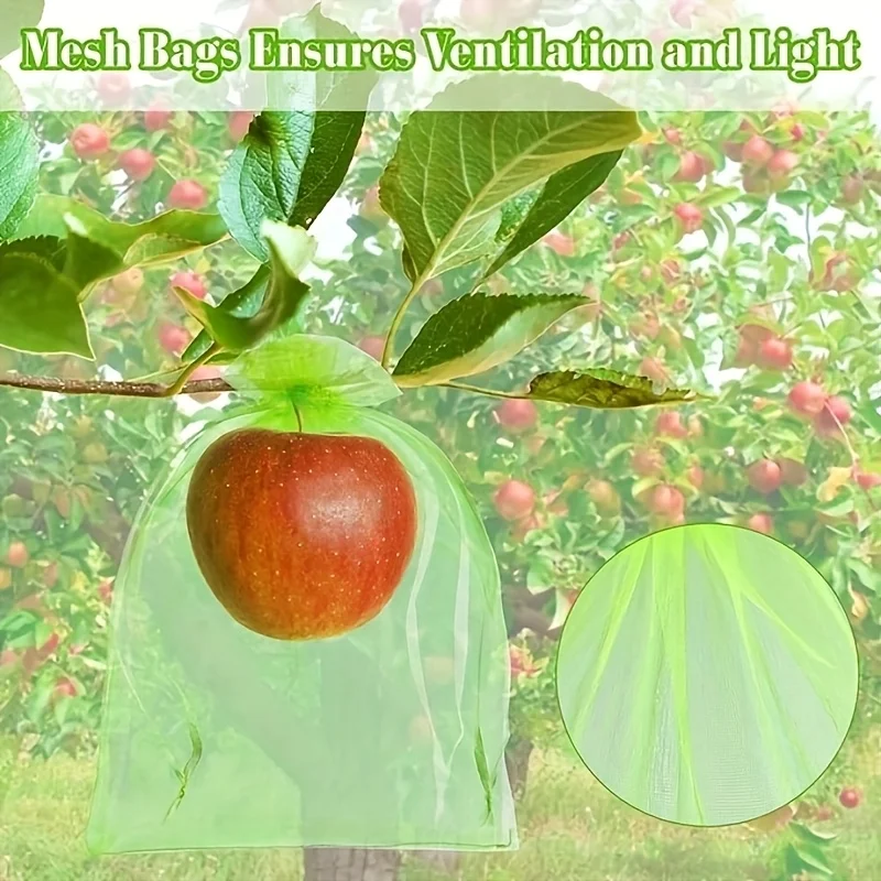 100 Buah Tas Pelindung Hijau d - Grow Bag ulasan dan harga