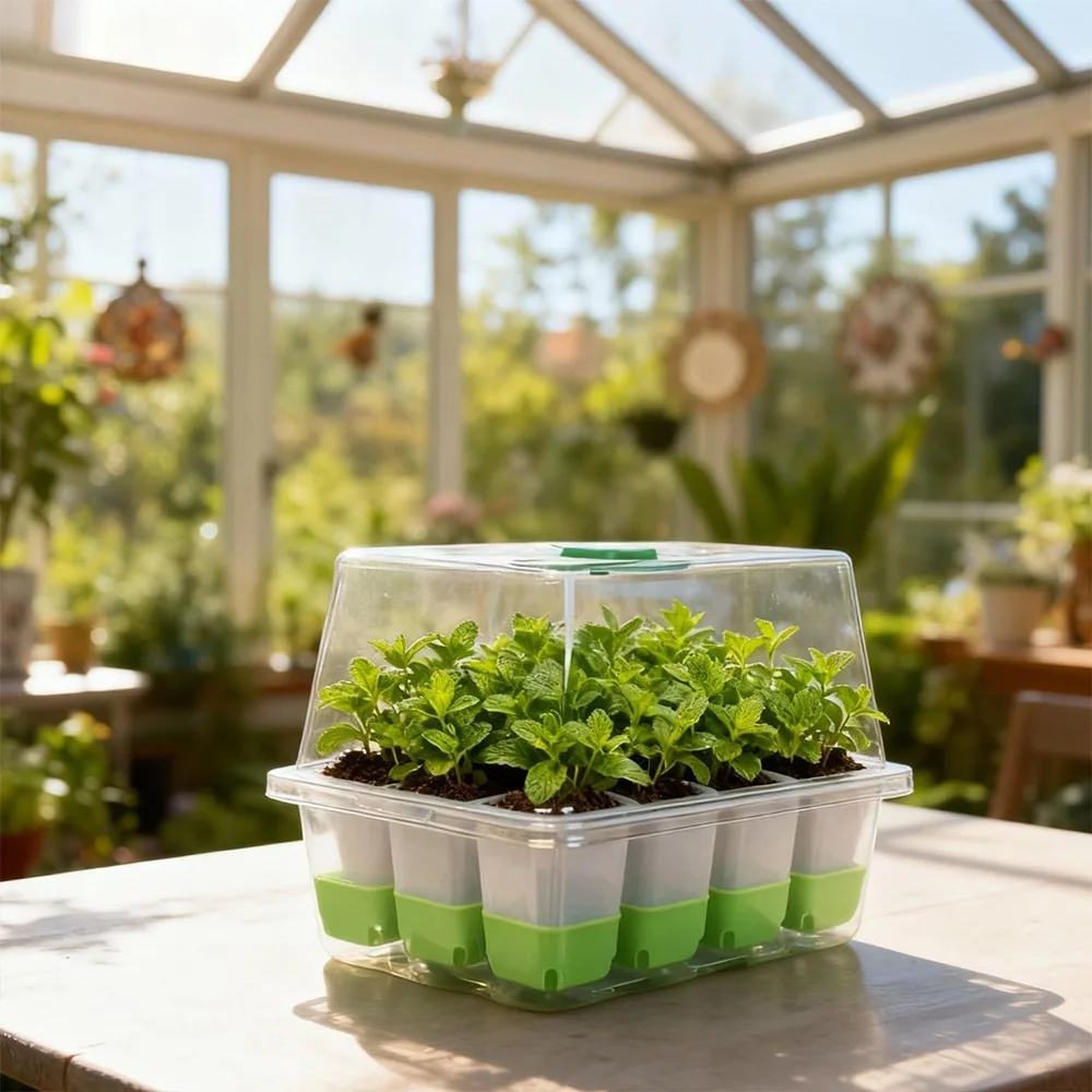Baki Penyemaian dengan 12 Sel, - Seed Starter Tray ulasan dan harga
