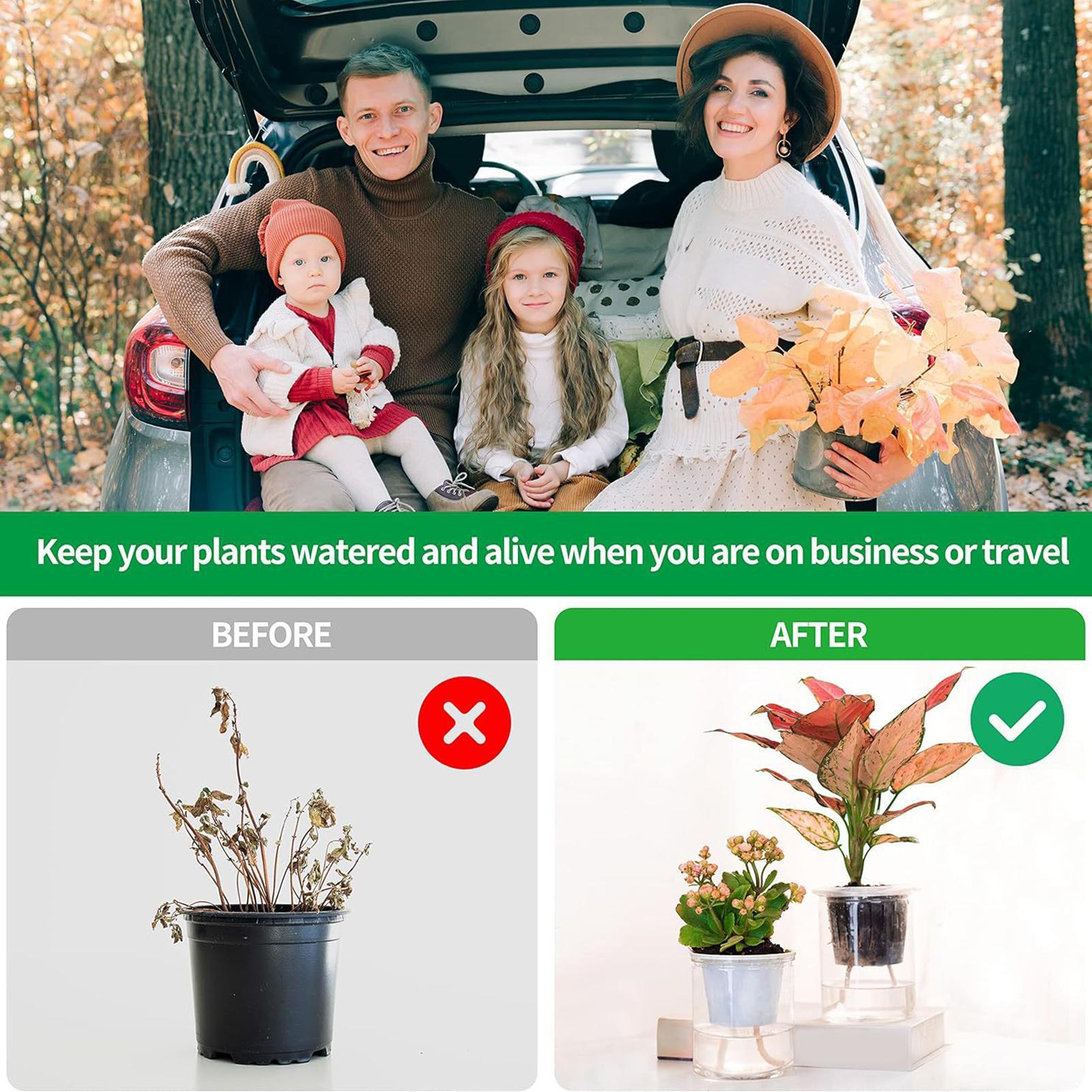 Tali Penyiraman Otomatis 2-Pie - Self Watering Planter ulasan dan harga