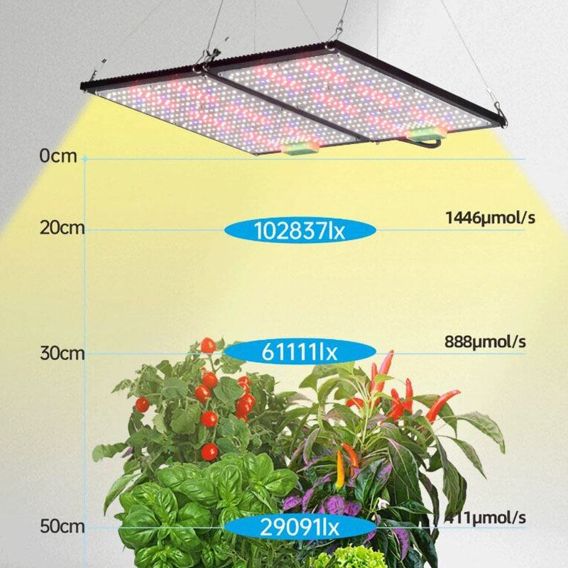 Lampu LED Quantum-Board untuk  - Grow Light Led ulasan dan harga