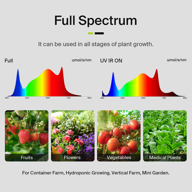 Lampu LED Spektrum Penuh Flexs - Grow Light Led ulasan dan harga