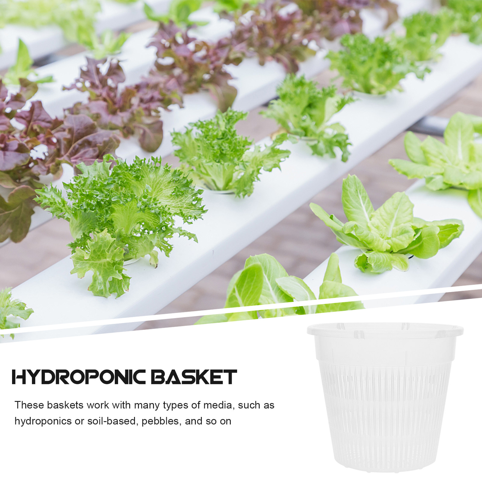 5 Buah Pot Jaring untuk Penana - Plant Pot ulasan dan harga