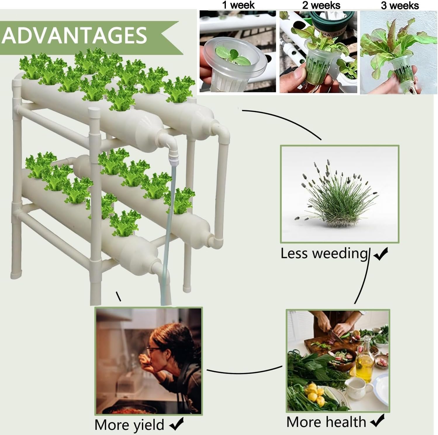 Sistem Penanaman Hidroponik 20 - Hydroponic Kit ulasan dan harga
