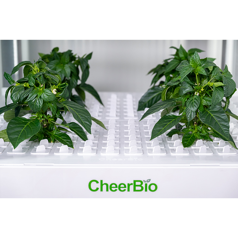 Sistem Penanaman Cerdas Baru,  - Hydroponic Kit ulasan dan harga