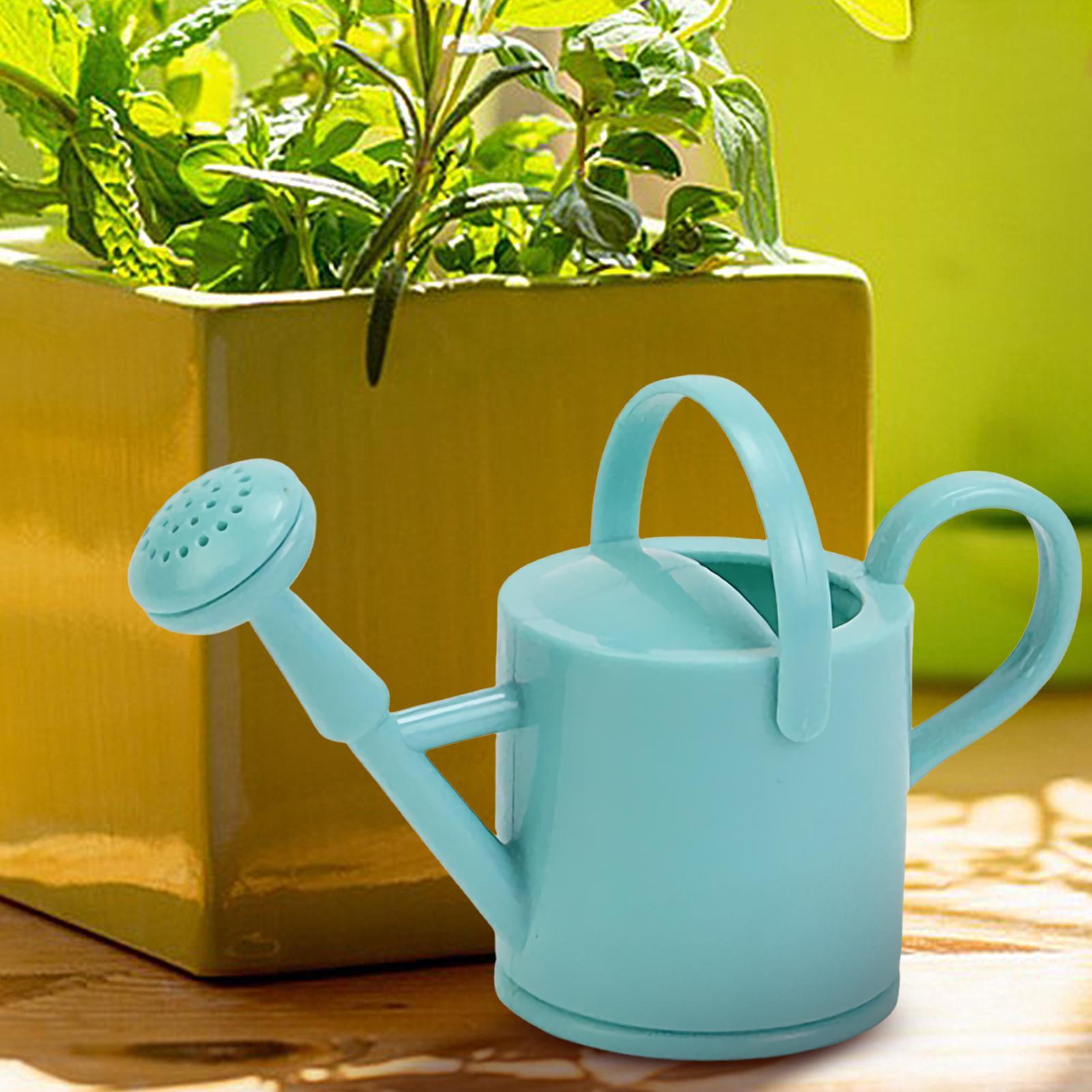 Kaleng Penyiram Taman Anak-ana - Watering Can ulasan dan harga