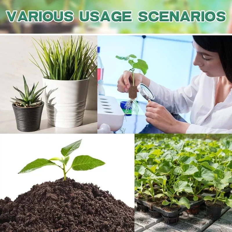 Kit Spons Pemula Bibit untuk S - Hydroponic Kit ulasan dan harga