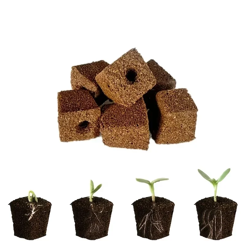 Kit Spons Pemula Bibit untuk S - Hydroponic Kit ulasan dan harga