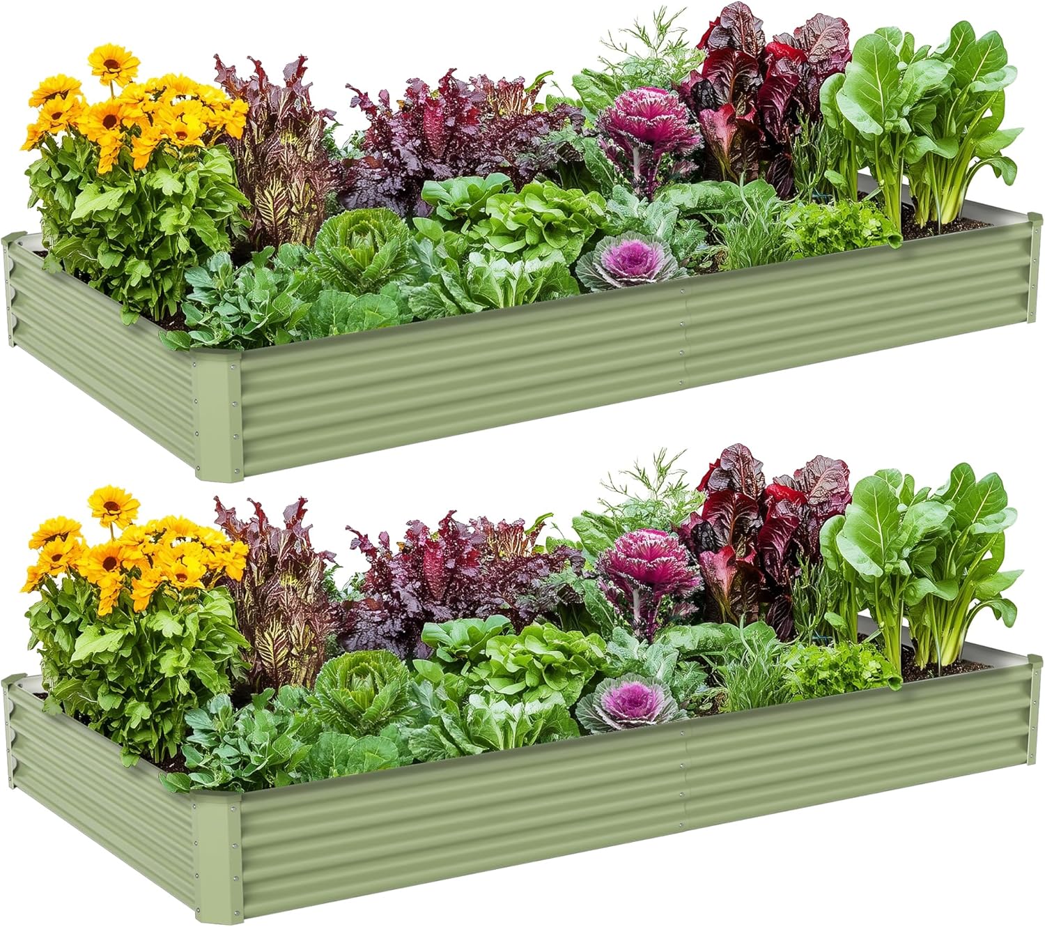 Kotak Tanam Sayuran Luar Ruang - Raised Garden Bed ulasan dan harga