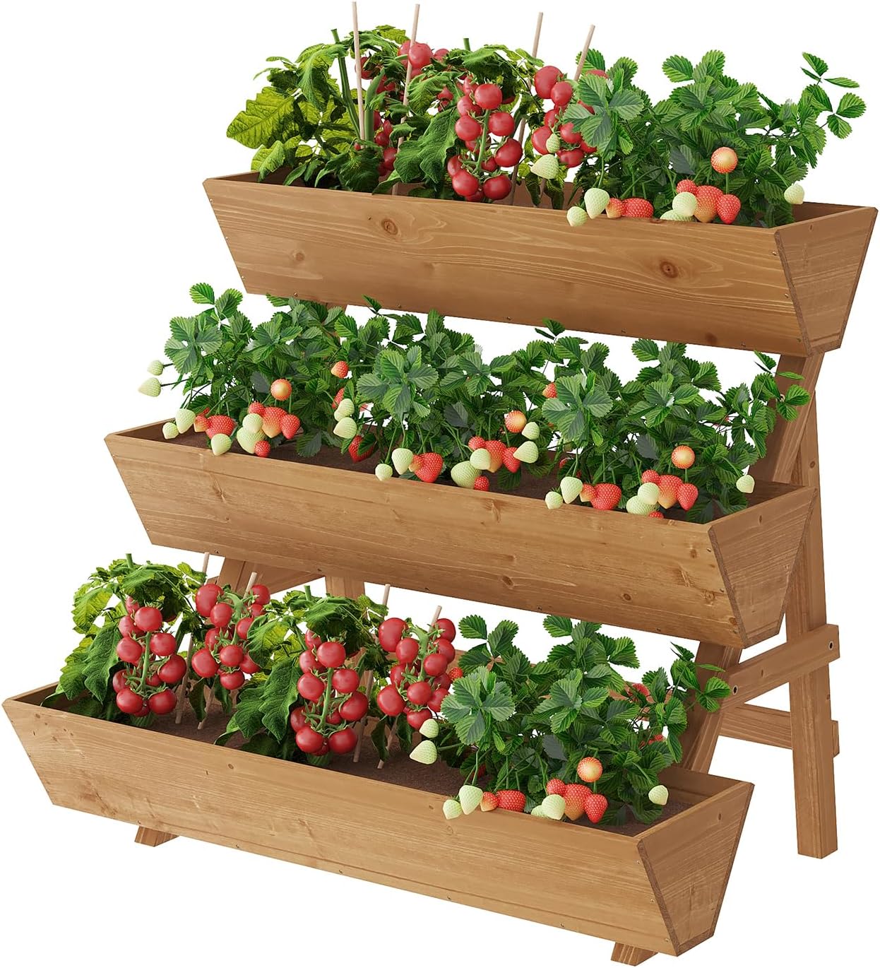Kebun Vertikal 3 Tingkat denga - Raised Garden Bed ulasan dan harga
