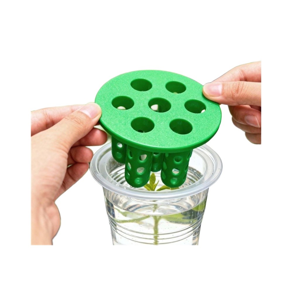 4pcs Kit Penyemaian Bawang Hij - Hydroponic Kit ulasan dan harga