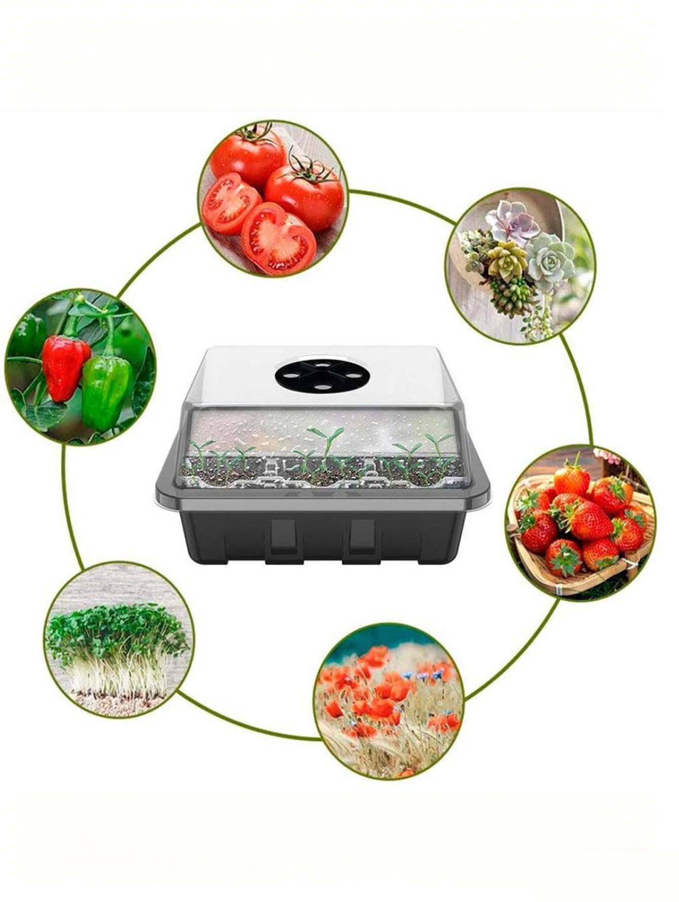 1/2pc Baki Bibit 6/12 Lubang,  - Seed Starter Tray ulasan dan harga
