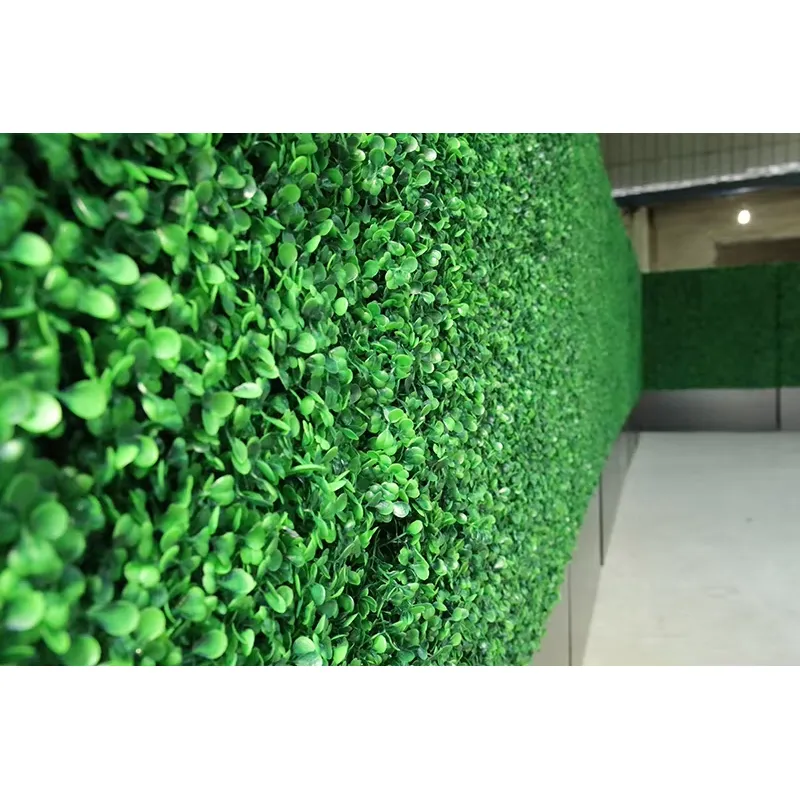 CQ-001 Taman Vertikal Ramah Li - Vertical Planter ulasan dan harga