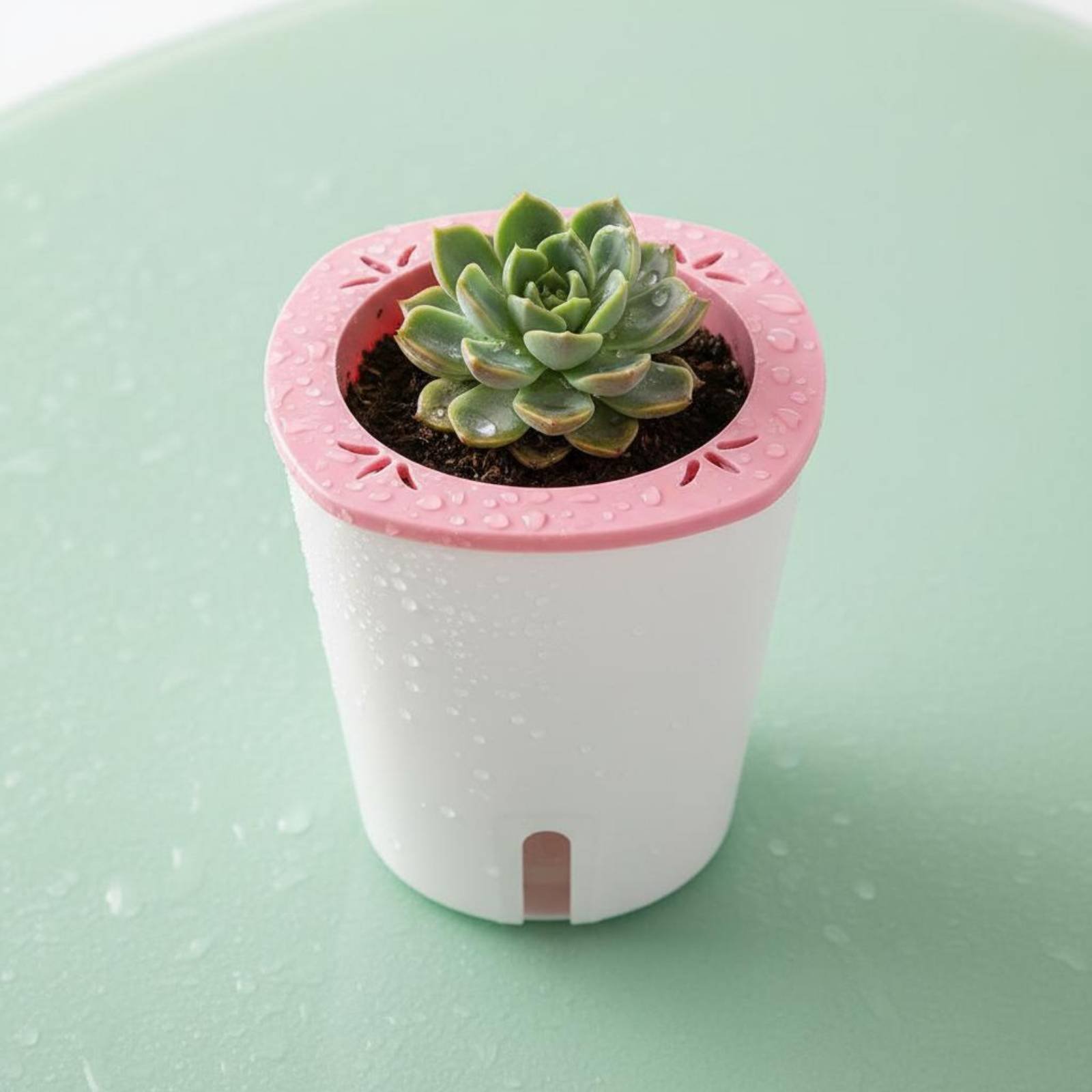 Pot Penyiram Otomatis Ukuran B - Self Watering Planter ulasan dan harga
