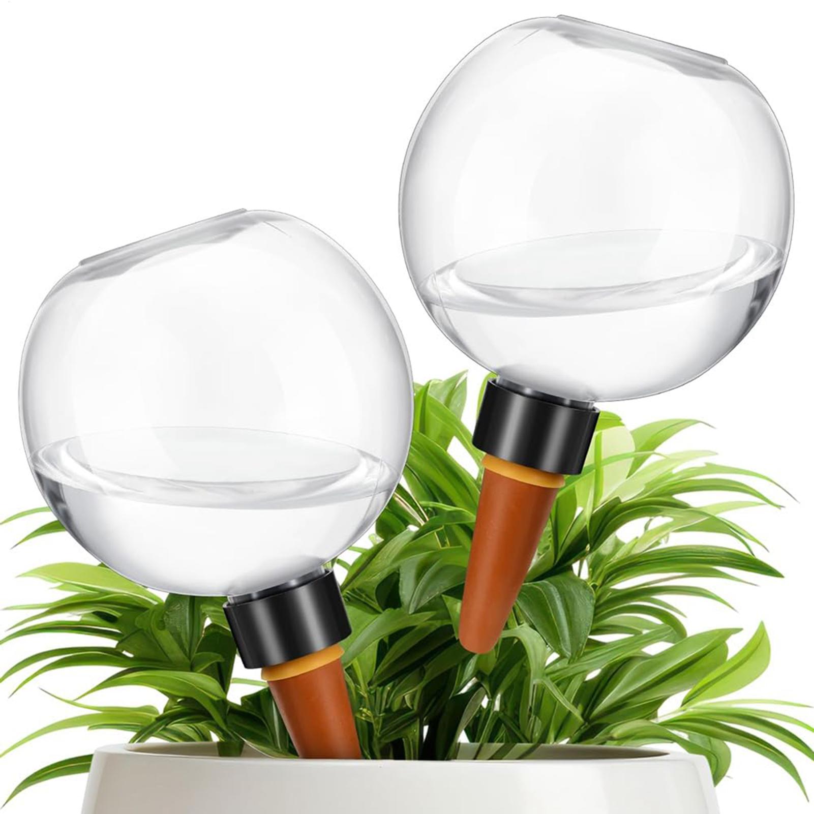 Bola Penyiram Tanaman Otomatis - Self Watering Planter ulasan dan harga