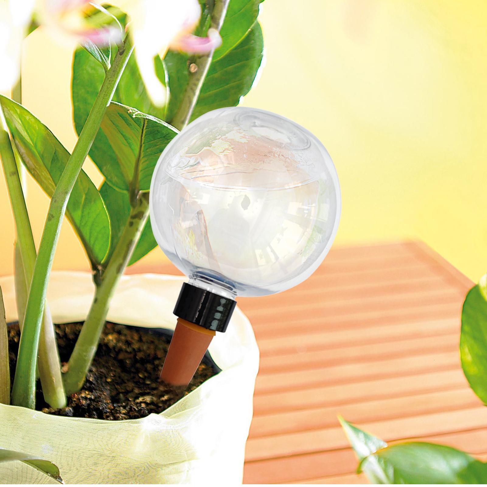 Bola Penyiram Tanaman Otomatis - Self Watering Planter ulasan dan harga