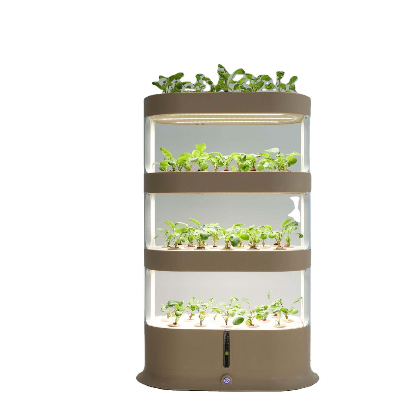 Peralatan untuk Penanaman Hidr - Hydroponic Kit ulasan dan harga