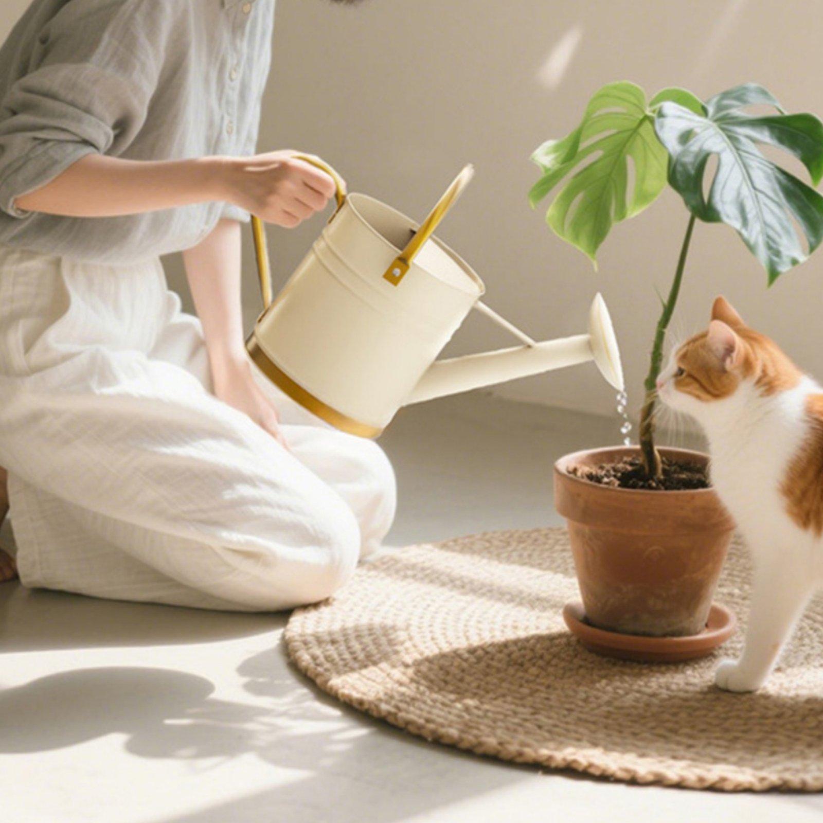 Penyemprot Air dengan Cerat Pa - Watering Can ulasan dan harga