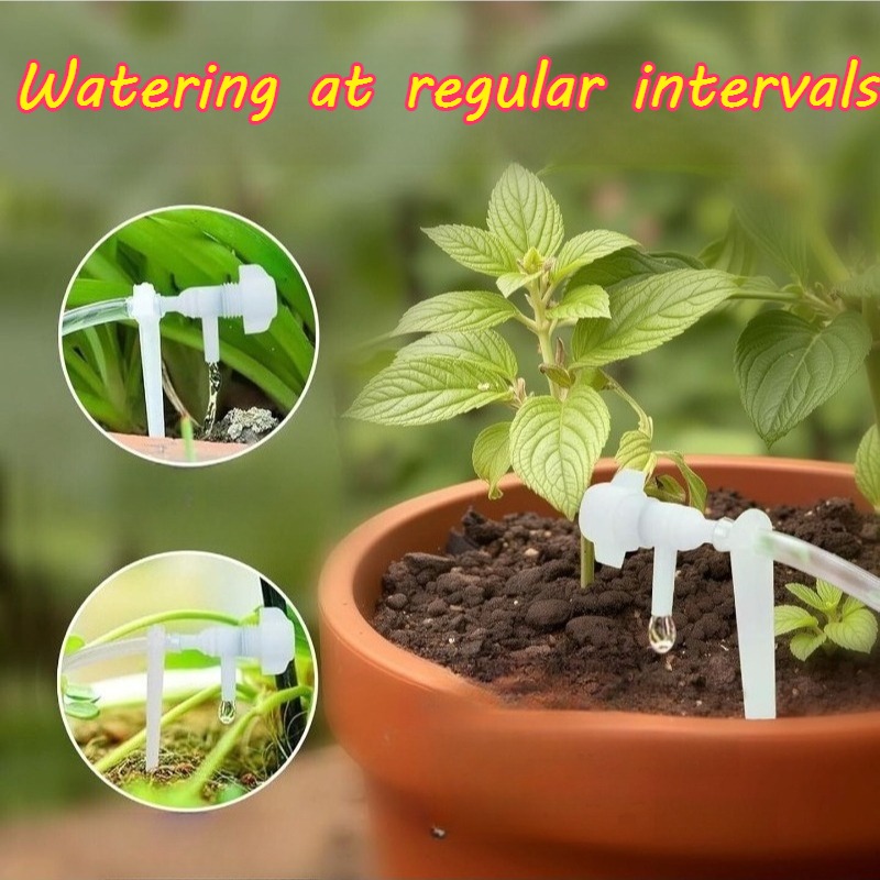 Peralatan Irigasi Otomatis Pen - Watering Can ulasan dan harga