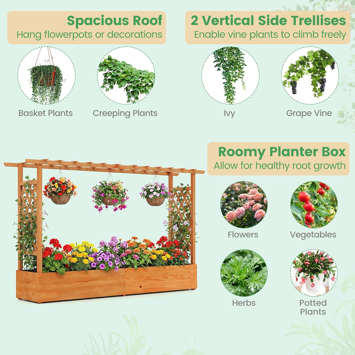 Tempat Tanam Terangkat untuk T - Raised Garden Bed ulasan dan harga