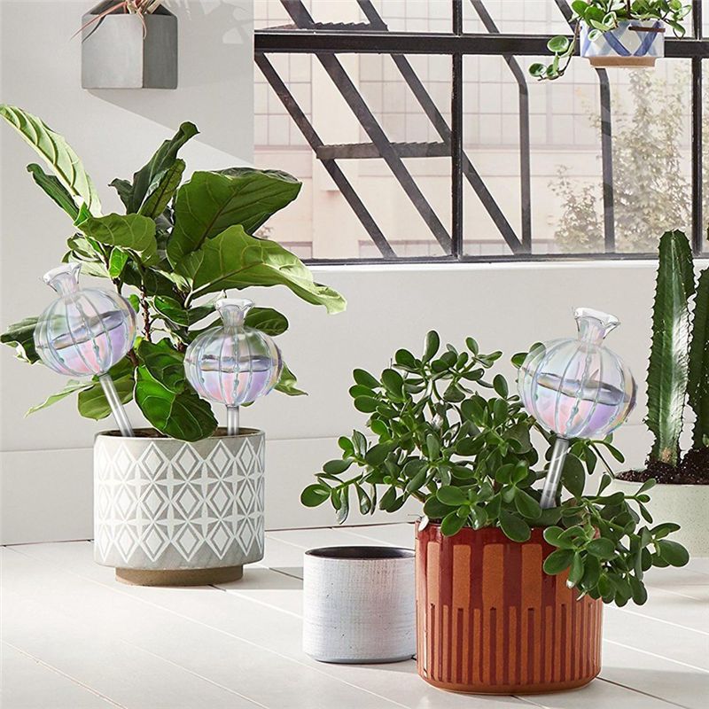 AA94 – Alat Penyiram Tanaman,  - Self Watering Planter ulasan dan harga